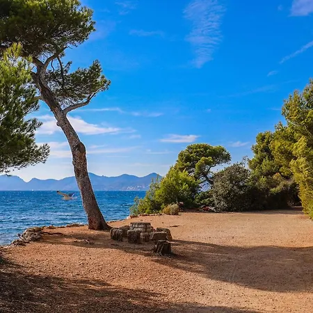 We ! Studio 2 Steps From The City Center Beachs And The Palais Cannes